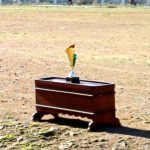 women cricket league 2025 gallery