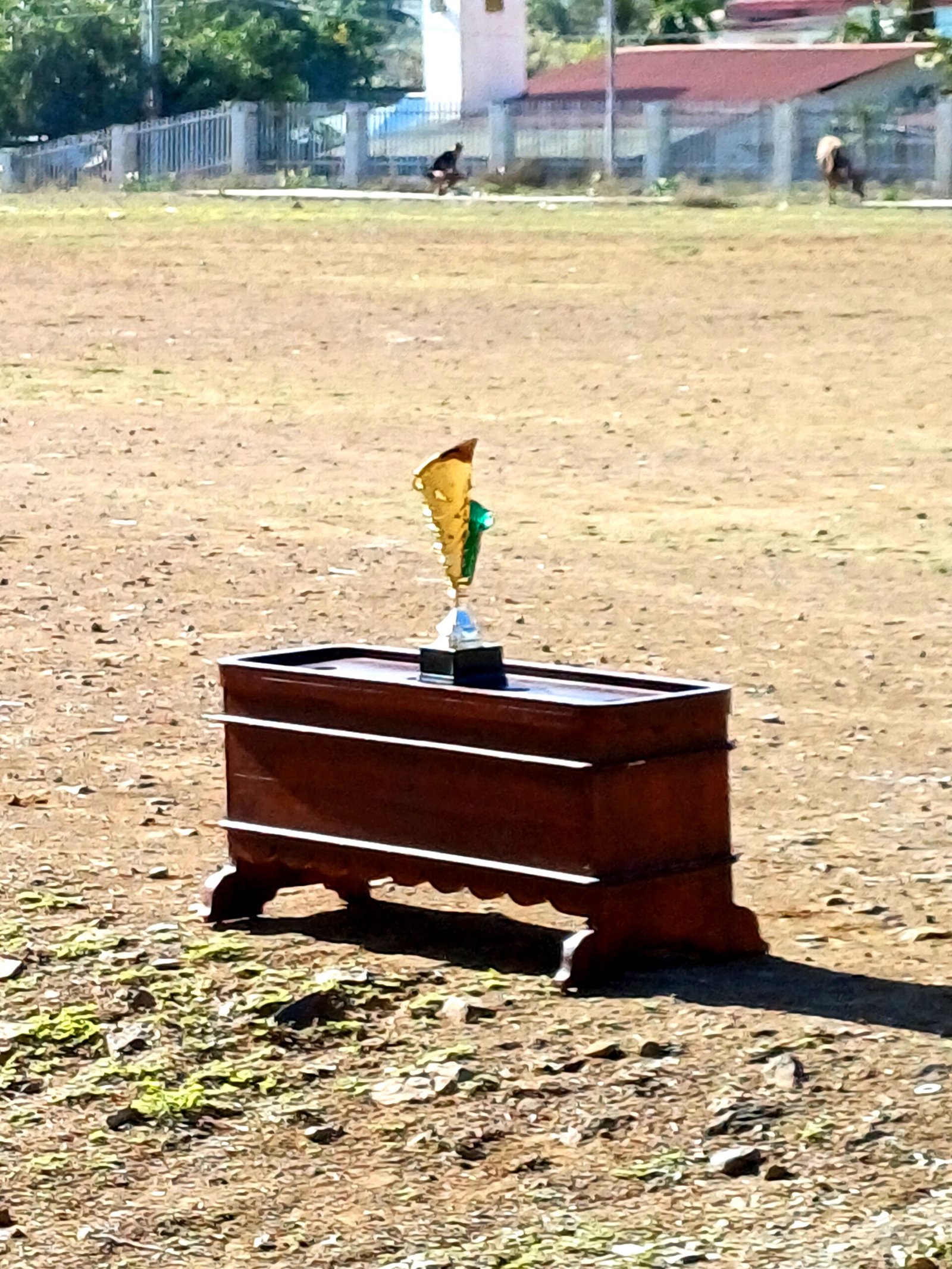 Women Cricket League 2025 Photos